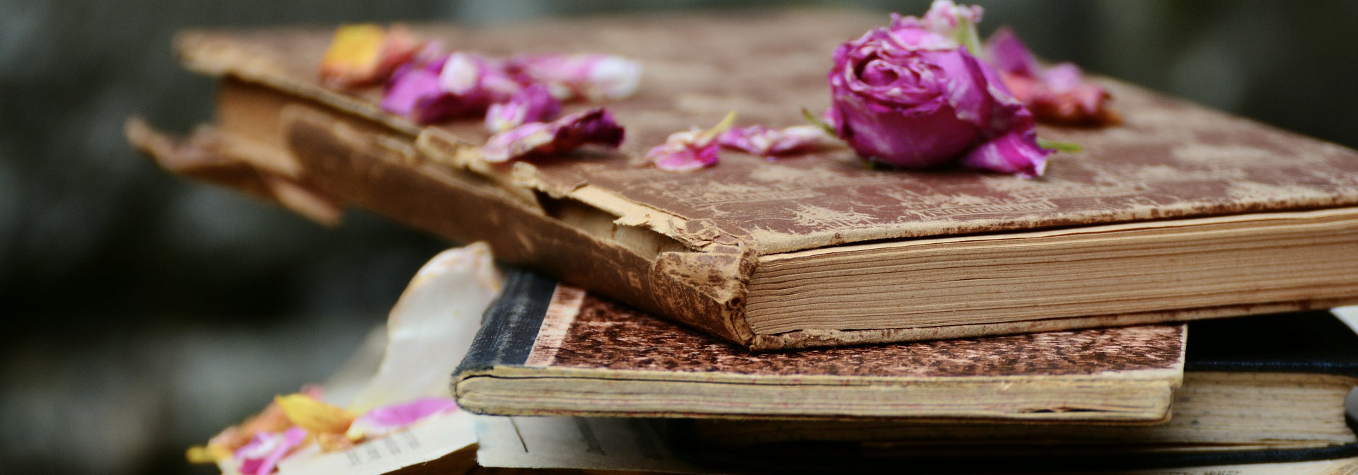 Изучать французский язык через чтение книг