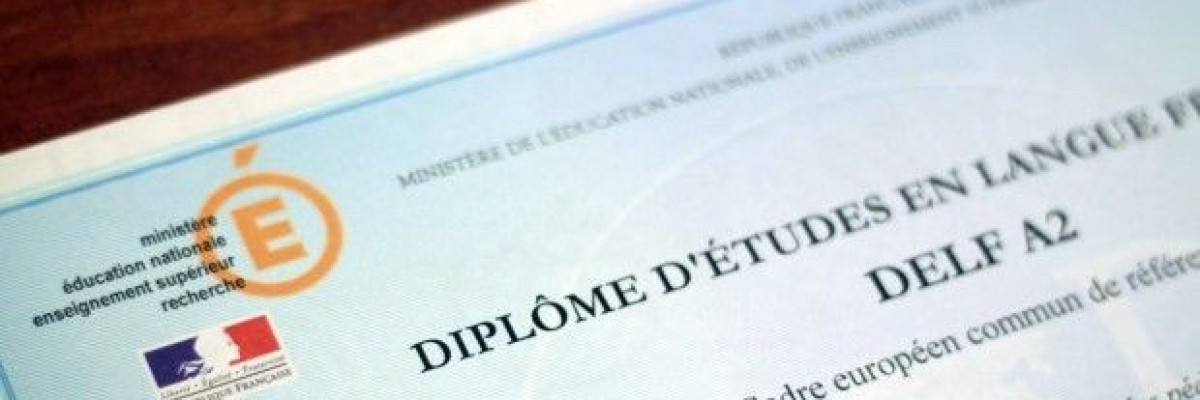 Стоит ли получать сертификат DELF?
